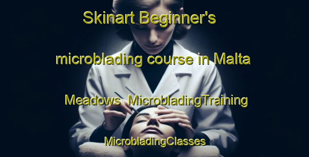 Skinart Beginner's microblading course in Malta Meadows | #MicrobladingTraining #MicrobladingClasses #SkinartTraining-United States