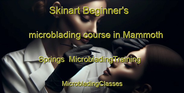 Skinart Beginner's microblading course in Mammoth Springs | #MicrobladingTraining #MicrobladingClasses #SkinartTraining-United States