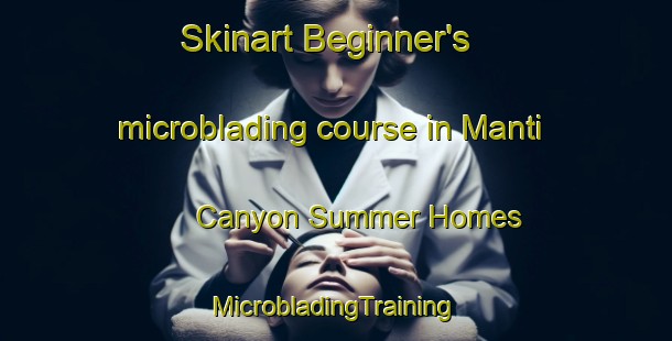 Skinart Beginner's microblading course in Manti Canyon Summer Homes | #MicrobladingTraining #MicrobladingClasses #SkinartTraining-United States