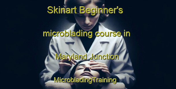 Skinart Beginner's microblading course in Maryland Junction | MicrobladingTraining | MicrobladingClasses | SkinartTraining-United States
