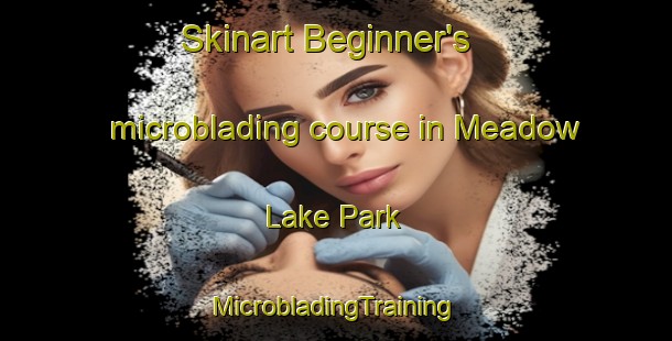 Skinart Beginner's microblading course in Meadow Lake Park | #MicrobladingTraining #MicrobladingClasses #SkinartTraining-United States