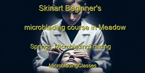 Skinart Beginner's microblading course in Meadow Springs | #MicrobladingTraining #MicrobladingClasses #SkinartTraining-United States