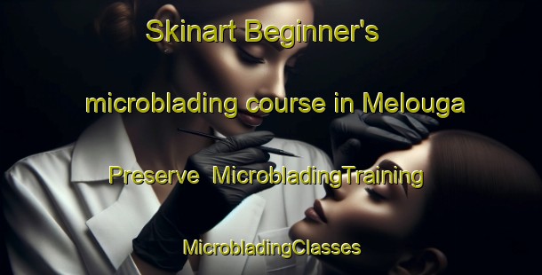 Skinart Beginner's microblading course in Melouga Preserve | #MicrobladingTraining #MicrobladingClasses #SkinartTraining-United States