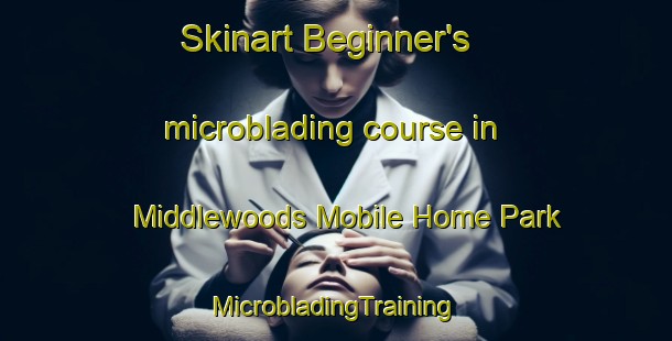 Skinart Beginner's microblading course in Middlewoods Mobile Home Park | #MicrobladingTraining #MicrobladingClasses #SkinartTraining-United States