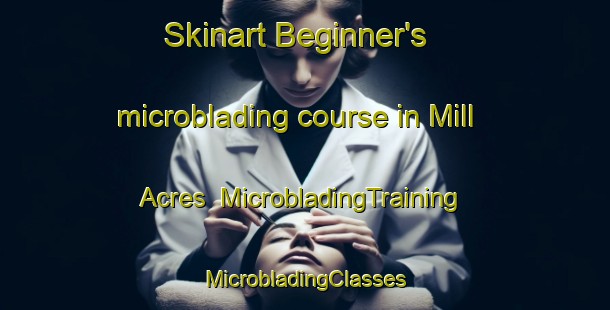 Skinart Beginner's microblading course in Mill Acres | #MicrobladingTraining #MicrobladingClasses #SkinartTraining-United States