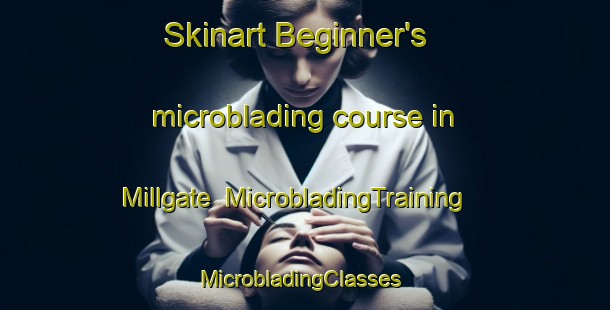 Skinart Beginner's microblading course in Millgate | MicrobladingTraining | MicrobladingClasses | SkinartTraining-United States