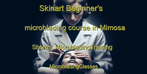 Skinart Beginner's microblading course in Mimosa Shores | #MicrobladingTraining #MicrobladingClasses #SkinartTraining-United States