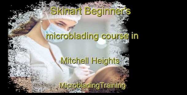 Skinart Beginner's microblading course in Mitchell Heights | #MicrobladingTraining #MicrobladingClasses #SkinartTraining-United States