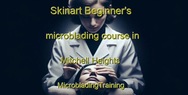 Skinart Beginner's microblading course in Mitchell Heights | MicrobladingTraining | MicrobladingClasses | SkinartTraining-United States