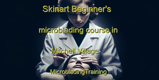 Skinart Beginner's microblading course in Mitchell Village | #MicrobladingTraining #MicrobladingClasses #SkinartTraining-United States