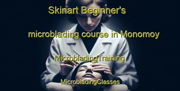 Skinart Beginner's microblading course in Monomoy | #MicrobladingTraining #MicrobladingClasses #SkinartTraining-United States