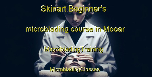 Skinart Beginner's microblading course in Mooar | MicrobladingTraining | MicrobladingClasses | SkinartTraining-United States
