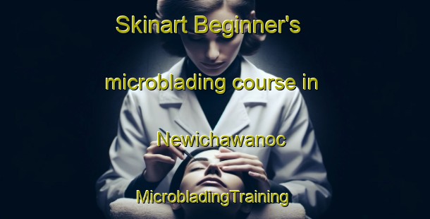 Skinart Beginner's microblading course in Newichawanoc | #MicrobladingTraining #MicrobladingClasses #SkinartTraining-United States