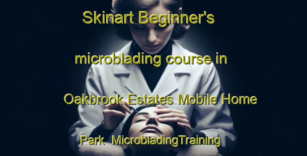 Skinart Beginner's microblading course in Oakbrook Estates Mobile Home Park | #MicrobladingTraining #MicrobladingClasses #SkinartTraining-United States