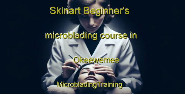 Skinart Beginner's microblading course in Okeewemee | MicrobladingTraining | MicrobladingClasses | SkinartTraining-United States