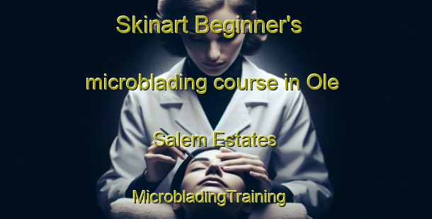 Skinart Beginner's microblading course in Ole Salem Estates | MicrobladingTraining | MicrobladingClasses | SkinartTraining-United States
