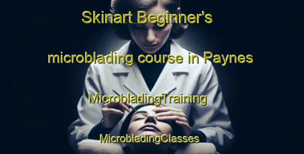 Skinart Beginner's microblading course in Paynes | MicrobladingTraining | MicrobladingClasses | SkinartTraining-United States