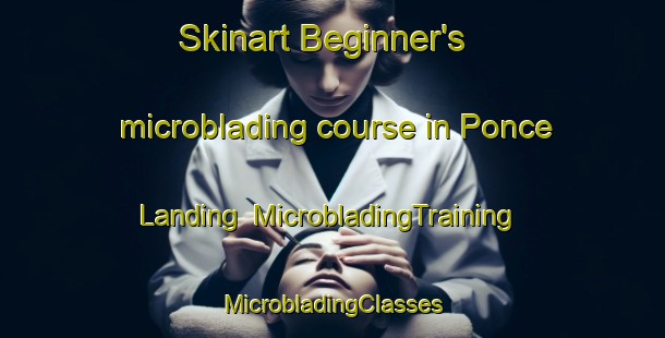 Skinart Beginner's microblading course in Ponce Landing | #MicrobladingTraining #MicrobladingClasses #SkinartTraining-United States