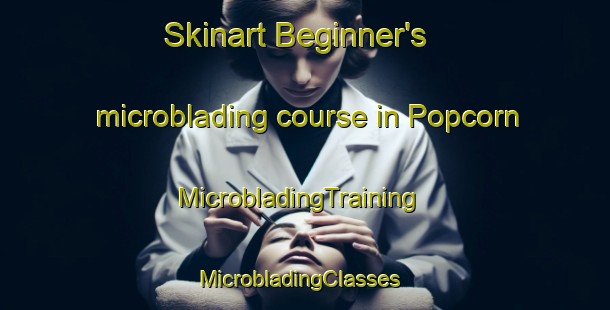 Skinart Beginner's microblading course in Popcorn | MicrobladingTraining | MicrobladingClasses | SkinartTraining-United States
