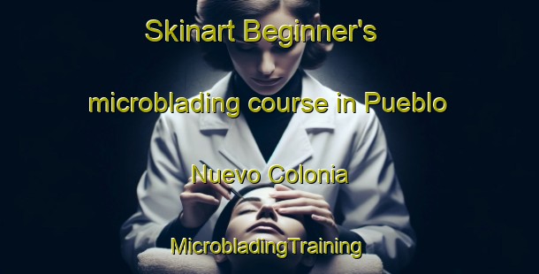 Skinart Beginner's microblading course in Pueblo Nuevo Colonia | #MicrobladingTraining #MicrobladingClasses #SkinartTraining-United States