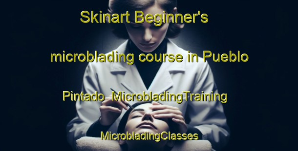 Skinart Beginner's microblading course in Pueblo Pintado | #MicrobladingTraining #MicrobladingClasses #SkinartTraining-United States