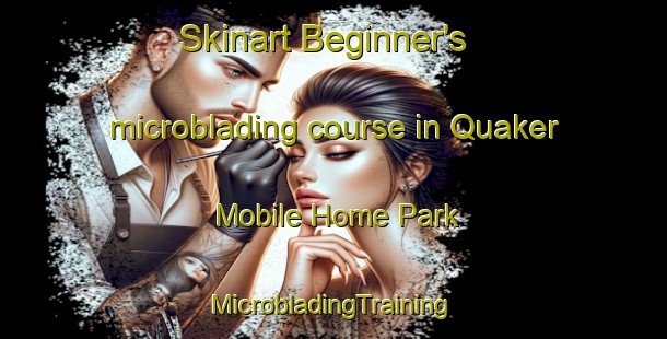 Skinart Beginner's microblading course in Quaker Mobile Home Park | #MicrobladingTraining #MicrobladingClasses #SkinartTraining-United States