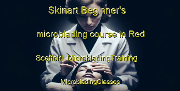 Skinart Beginner's microblading course in Red Scaffold | #MicrobladingTraining #MicrobladingClasses #SkinartTraining-United States