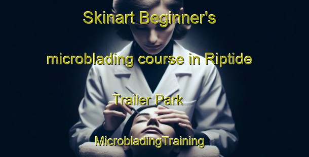Skinart Beginner's microblading course in Riptide Trailer Park | MicrobladingTraining | MicrobladingClasses | SkinartTraining-United States
