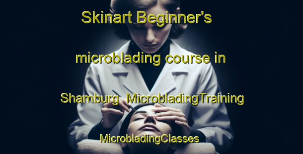 Skinart Beginner's microblading course in Shamburg | MicrobladingTraining | MicrobladingClasses | SkinartTraining-United States