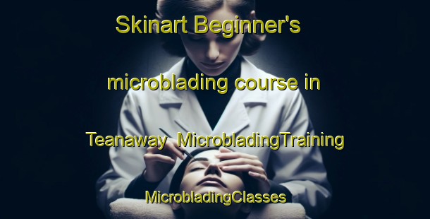 Skinart Beginner's microblading course in Teanaway | #MicrobladingTraining #MicrobladingClasses #SkinartTraining-United States