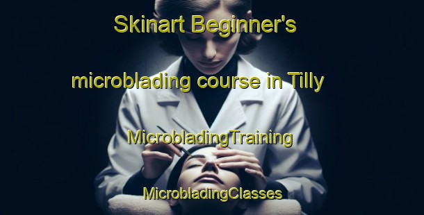 Skinart Beginner's microblading course in Tilly | #MicrobladingTraining #MicrobladingClasses #SkinartTraining-United States