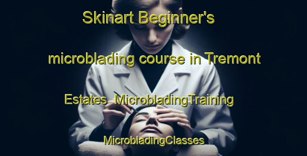 Skinart Beginner's microblading course in Tremont Estates | #MicrobladingTraining #MicrobladingClasses #SkinartTraining-United States