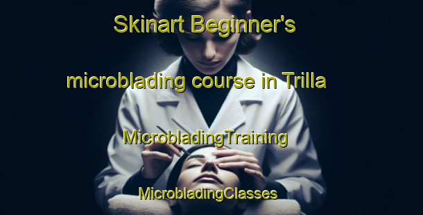 Skinart Beginner's microblading course in Trilla | MicrobladingTraining | MicrobladingClasses | SkinartTraining-United States