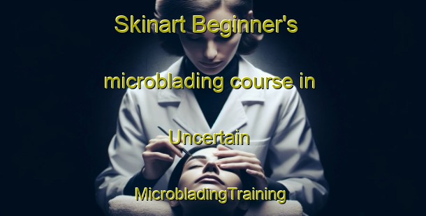 Skinart Beginner's microblading course in Uncertain | #MicrobladingTraining #MicrobladingClasses #SkinartTraining-United States