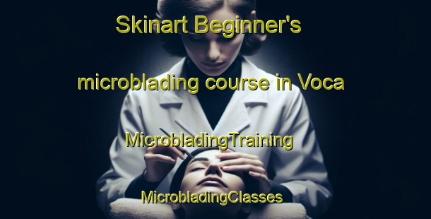 Skinart Beginner's microblading course in Voca | MicrobladingTraining | MicrobladingClasses | SkinartTraining-United States
