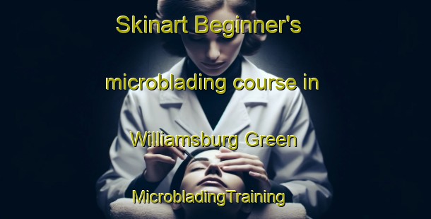 Skinart Beginner's microblading course in Williamsburg Green | MicrobladingTraining | MicrobladingClasses | SkinartTraining-United States