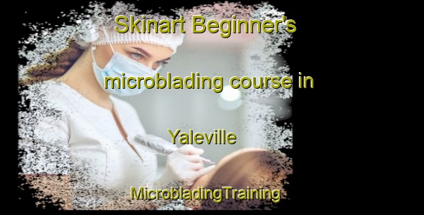 Skinart Beginner's microblading course in Yaleville | MicrobladingTraining | MicrobladingClasses | SkinartTraining-United States
