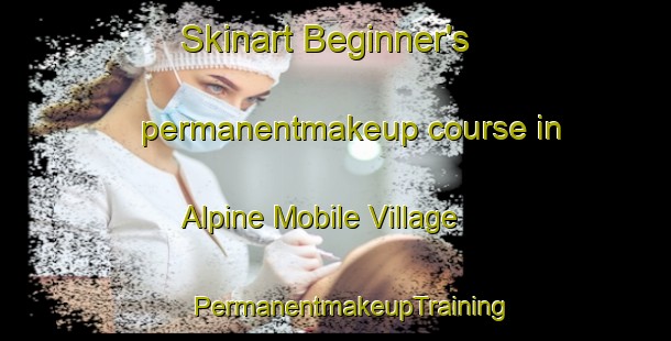 Skinart Beginner's permanentmakeup course in Alpine Mobile Village | #PermanentmakeupTraining #PermanentmakeupClasses #SkinartTraining-United States