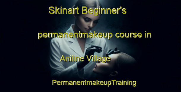 Skinart Beginner's permanentmakeup course in Aniline Village | #PermanentmakeupTraining #PermanentmakeupClasses #SkinartTraining-United States