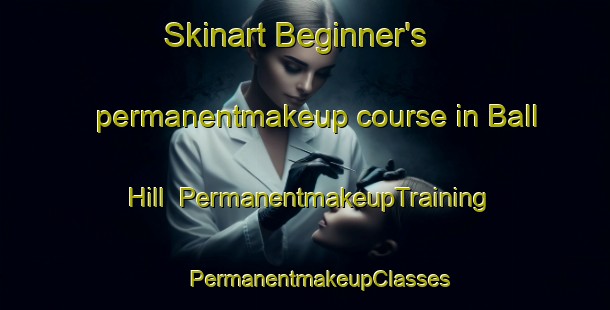 Skinart Beginner's permanentmakeup course in Ball Hill | #PermanentmakeupTraining #PermanentmakeupClasses #SkinartTraining-United States