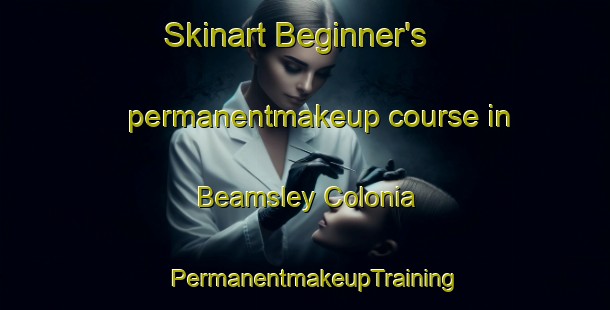 Skinart Beginner's permanentmakeup course in Beamsley Colonia | PermanentmakeupTraining | PermanentmakeupClasses | SkinartTraining-United States