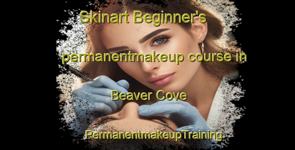 Skinart Beginner's permanentmakeup course in Beaver Cove | #PermanentmakeupTraining #PermanentmakeupClasses #SkinartTraining-United States