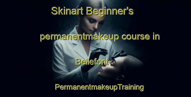 Skinart Beginner's permanentmakeup course in Bellefont | #PermanentmakeupTraining #PermanentmakeupClasses #SkinartTraining-United States