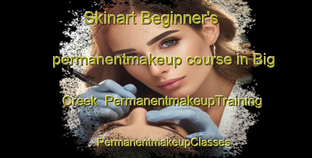 Skinart Beginner's permanentmakeup course in Big Creek | #PermanentmakeupTraining #PermanentmakeupClasses #SkinartTraining-United States