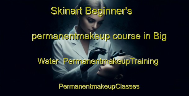 Skinart Beginner's permanentmakeup course in Big Water | #PermanentmakeupTraining #PermanentmakeupClasses #SkinartTraining-United States