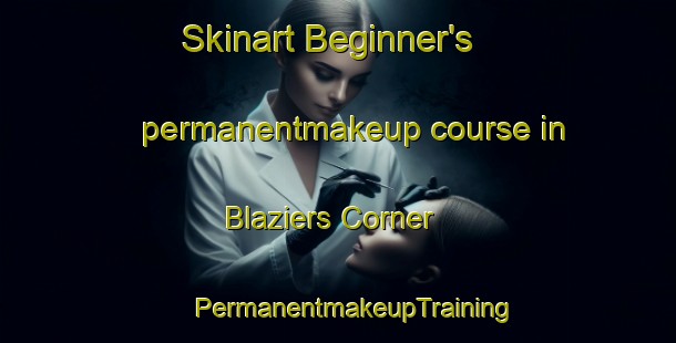 Skinart Beginner's permanentmakeup course in Blaziers Corner | #PermanentmakeupTraining #PermanentmakeupClasses #SkinartTraining-United States