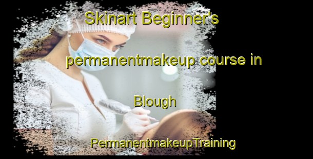 Skinart Beginner's permanentmakeup course in Blough | #PermanentmakeupTraining #PermanentmakeupClasses #SkinartTraining-United States