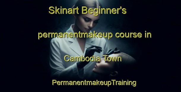 Skinart Beginner's permanentmakeup course in Cambodia Town | #PermanentmakeupTraining #PermanentmakeupClasses #SkinartTraining-United States