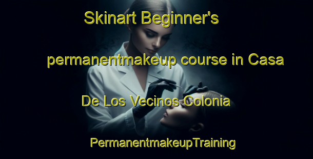 Skinart Beginner's permanentmakeup course in Casa De Los Vecinos Colonia | #PermanentmakeupTraining #PermanentmakeupClasses #SkinartTraining-United States