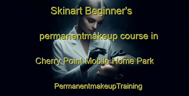 Skinart Beginner's permanentmakeup course in Cherry Point Mobile Home Park | #PermanentmakeupTraining #PermanentmakeupClasses #SkinartTraining-United States